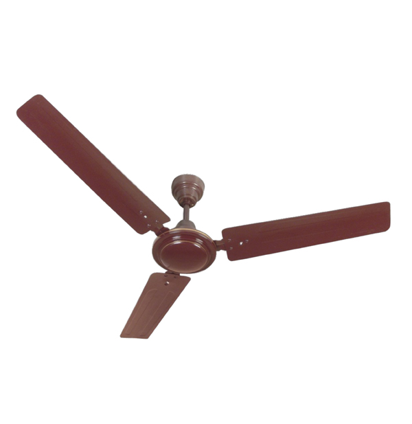 Ceiling Fan Popular
